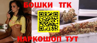 индика Ирбит